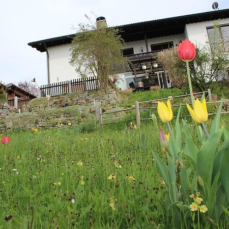 Haus Koblizek Lägenhet Waldkirchen Exteriör bild