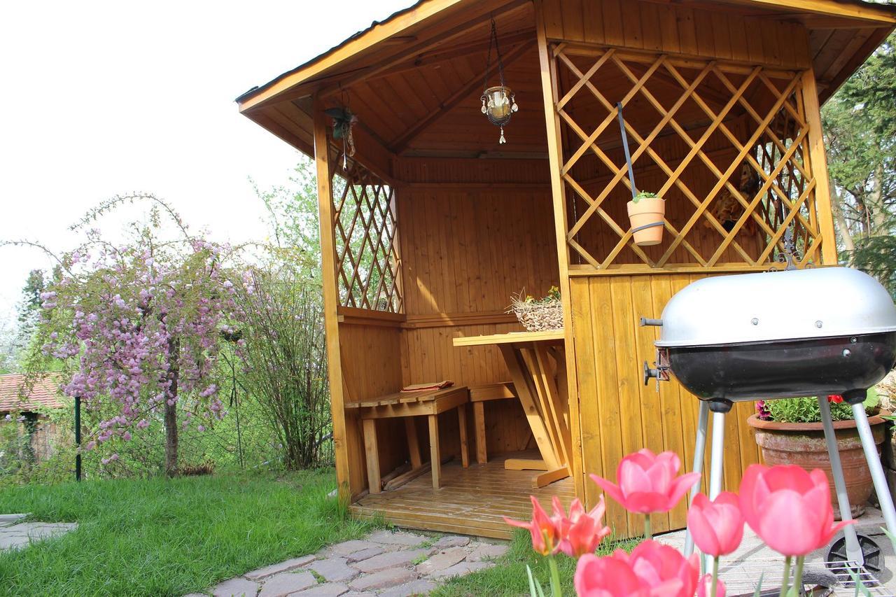 Haus Koblizek Lägenhet Waldkirchen Exteriör bild